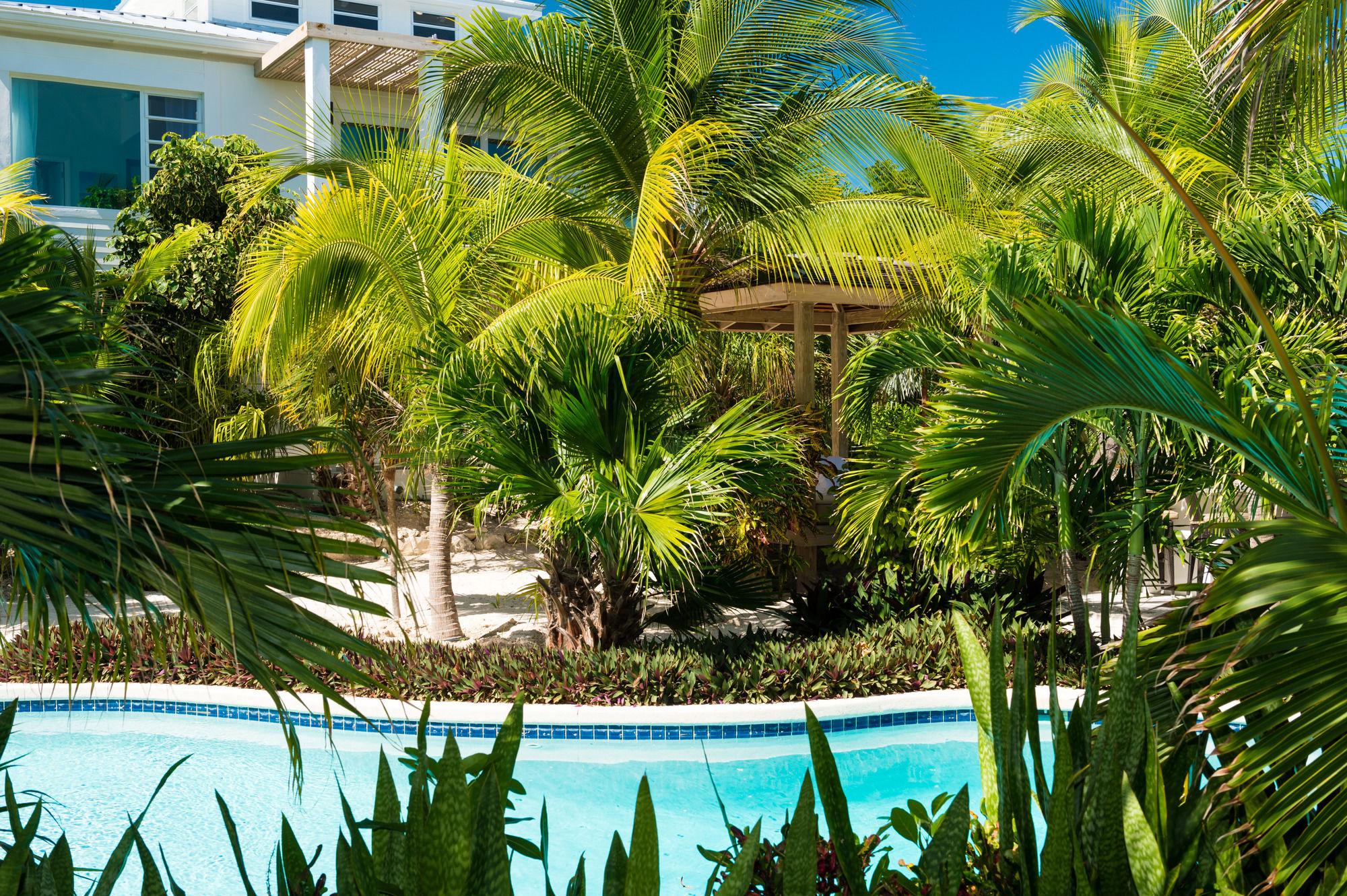 Hotel The Oasis At Grace Bay Exteriér fotografie